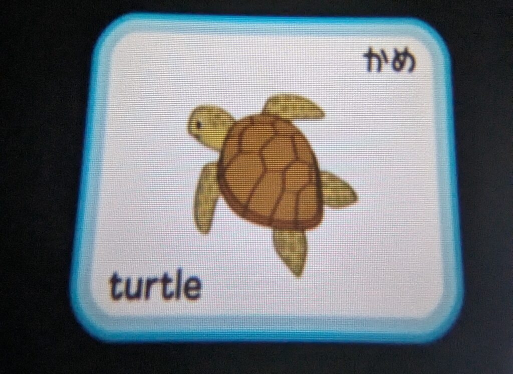 海の生き物の名前