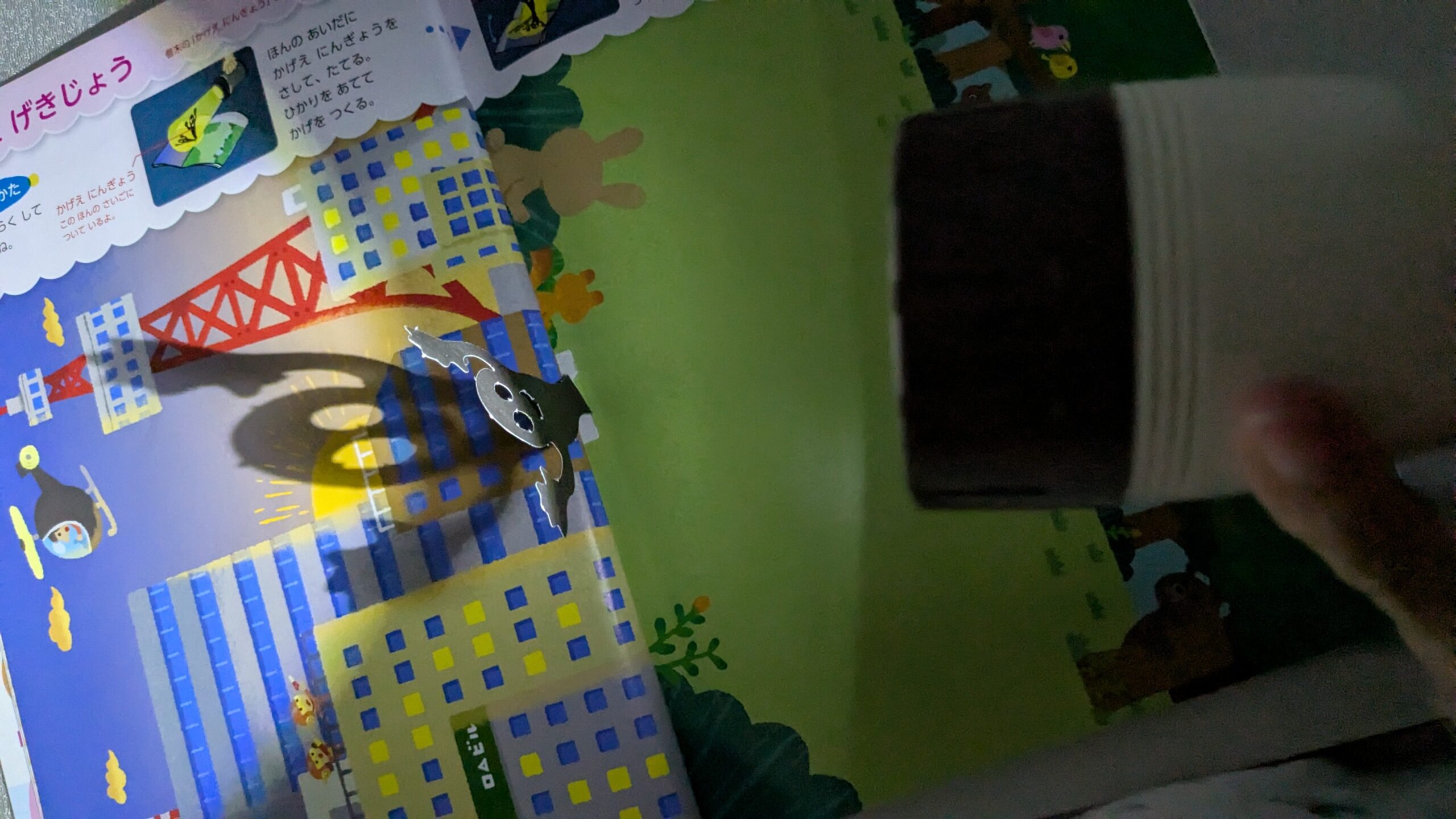 影絵で遊ぶほっけ