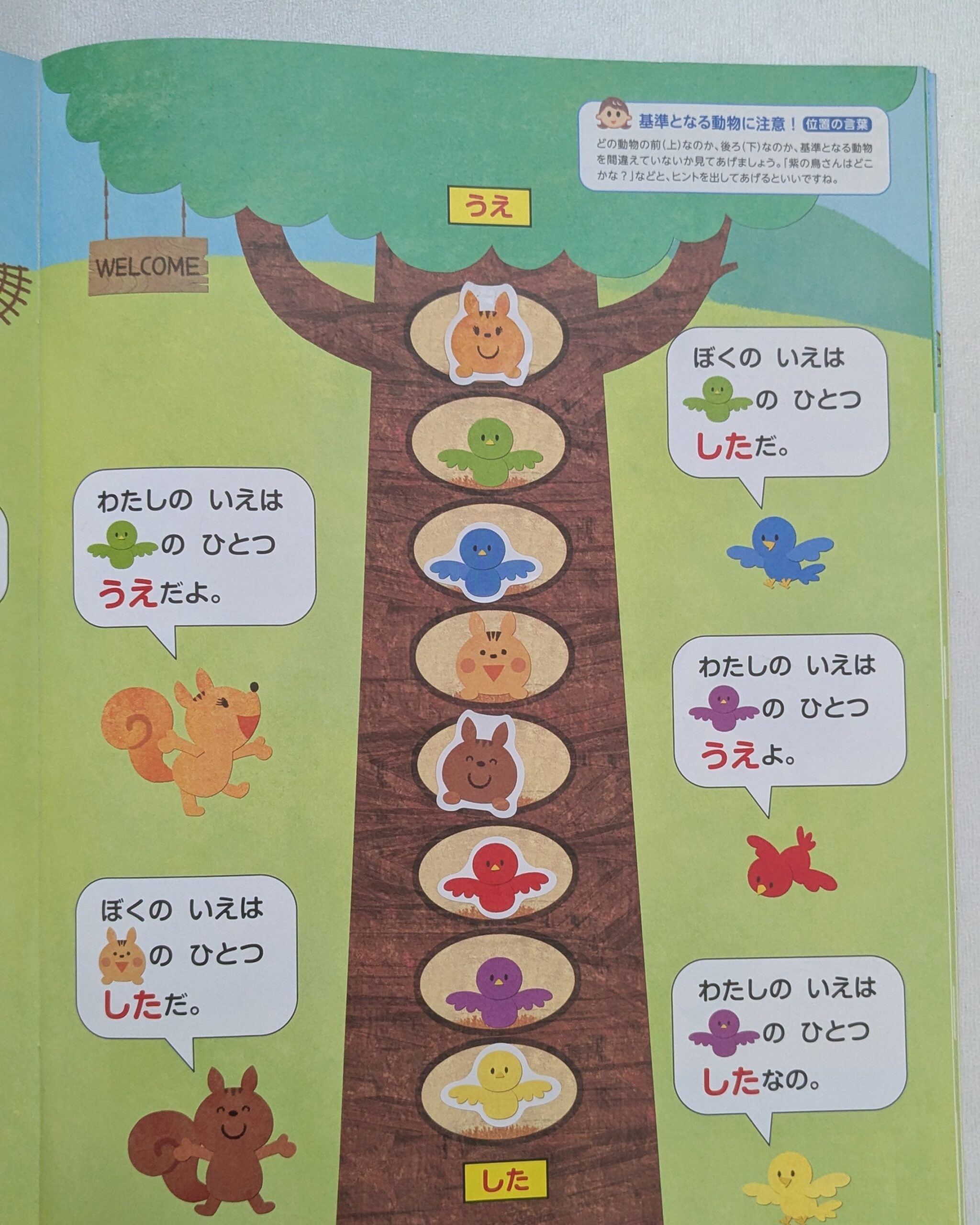 ポピーの教材の中身