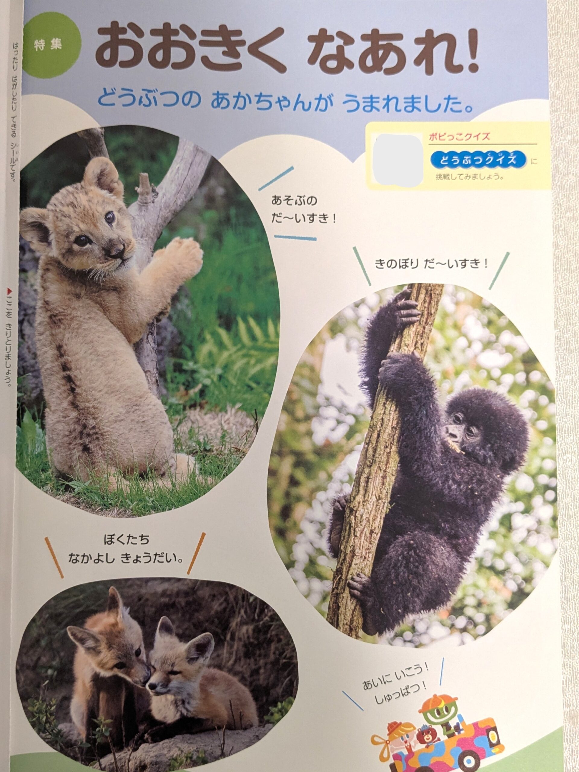 どうぶつの赤ちゃんについての内容